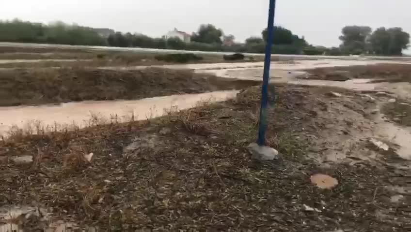 Terrenos anegados por las precipitaciones en Arahal debido al temporal de lluvias