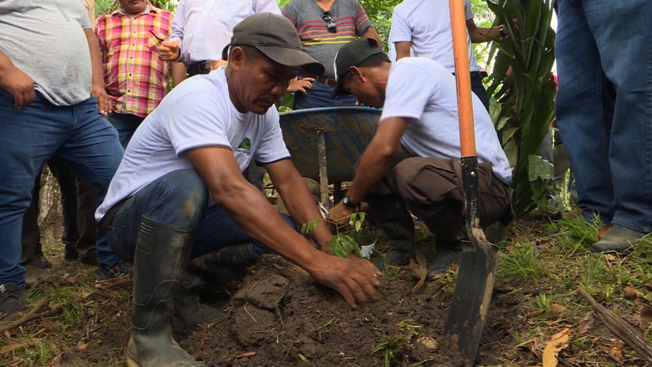 Au Pérou, un passionné crée une "ferme écologique" pour reboiser l ...