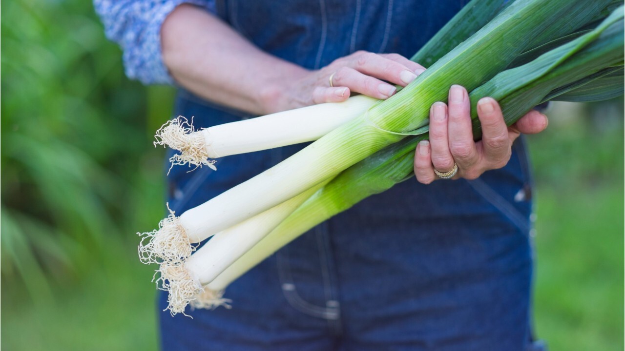 Comment Reussir La Cuisson Du Poireau Femme Actuelle Le Mag