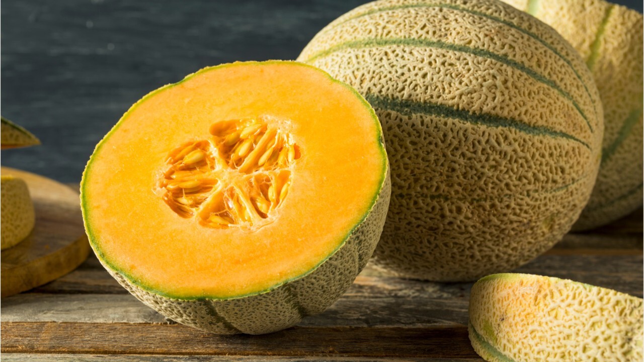 tout savoir sur le melon saison varietes conservation cuisine actuelle