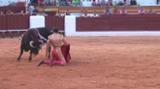 Sexto toro de Ginés Marín en el encierro benéfico en Olivenza