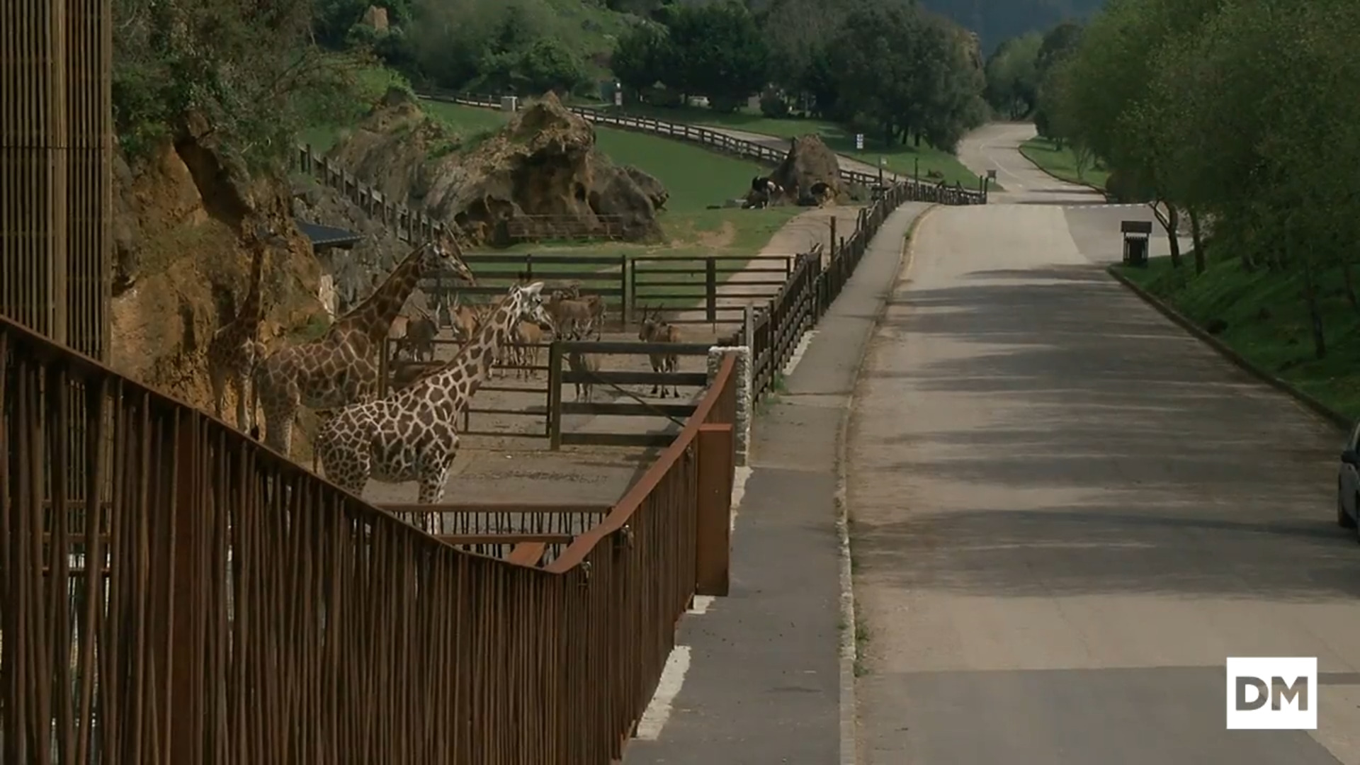Cabarceno, bajo mínimos en su Semana Santa más extraña y solitaria