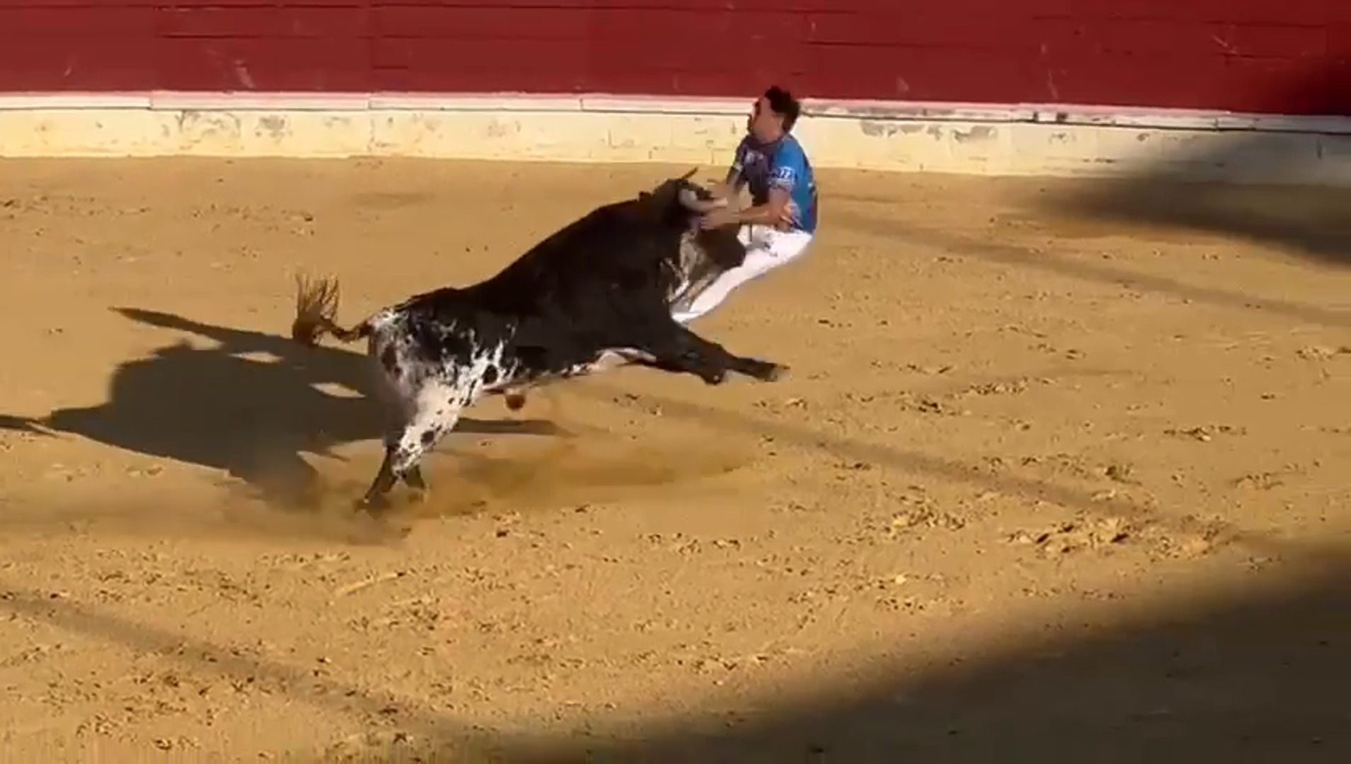 Cogida a Use en el concurso de cortes de Medina del Campo (Valladolid)