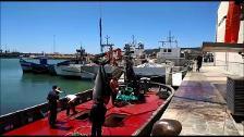 La fiesta del atún en la costa de Cádiz