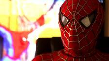 El Spiderman de Cádiz pierde el superpoder de la sonrisa