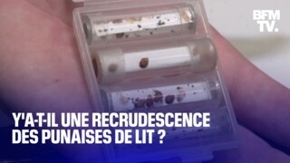 Punaises de lit : il meurt à Lyon après l'usage d'un produit toxique, une  enquête ouverte