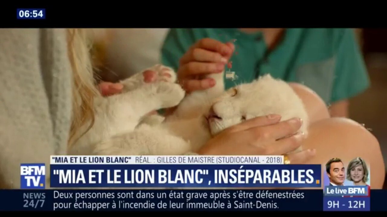 Mia Et Le Lion Blanc Ou L Amitie Entre Une Petite Fille Et Un Lionceau