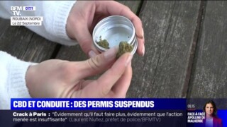 Cannabis au volant: un produit «miracle» censé berner la police