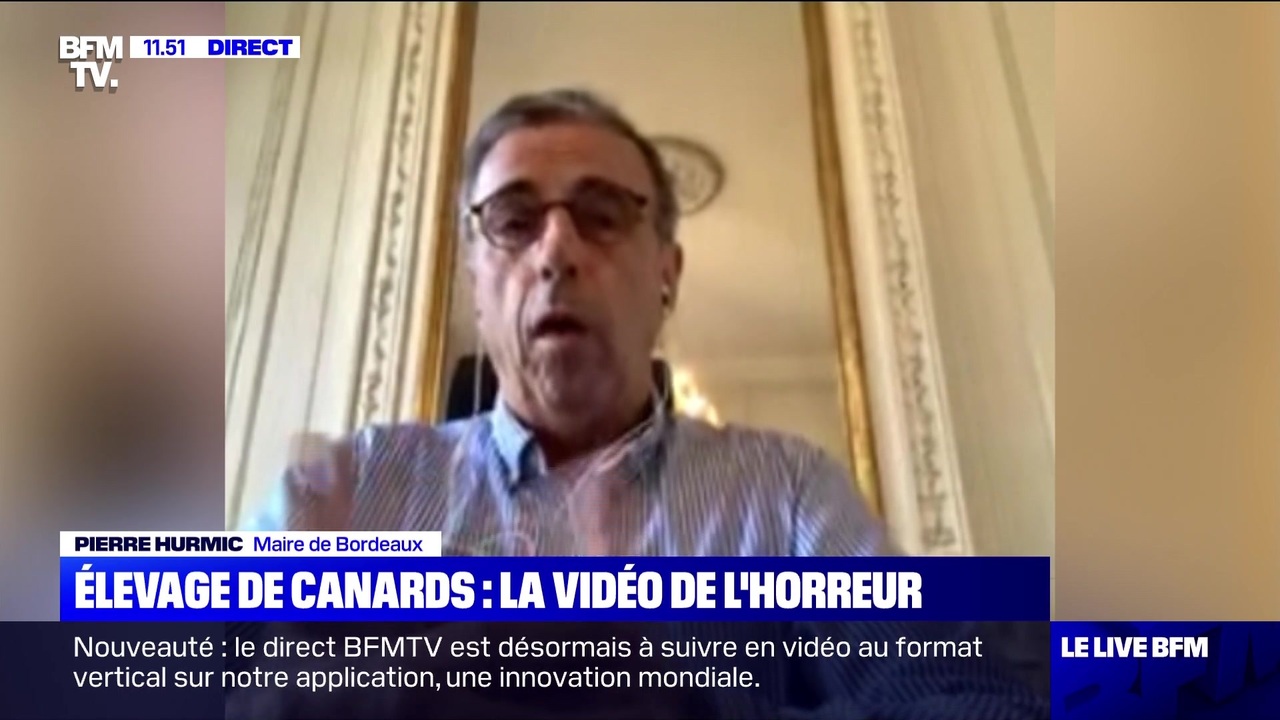 Elevage De Canards La Video De L Horreur 20 08