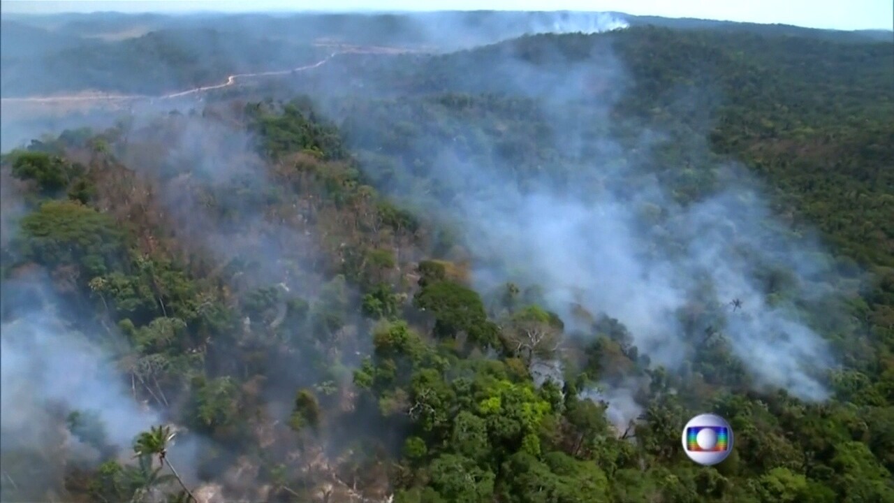 Incendies En Amazonie Quelles Consequences Pour L Environnement