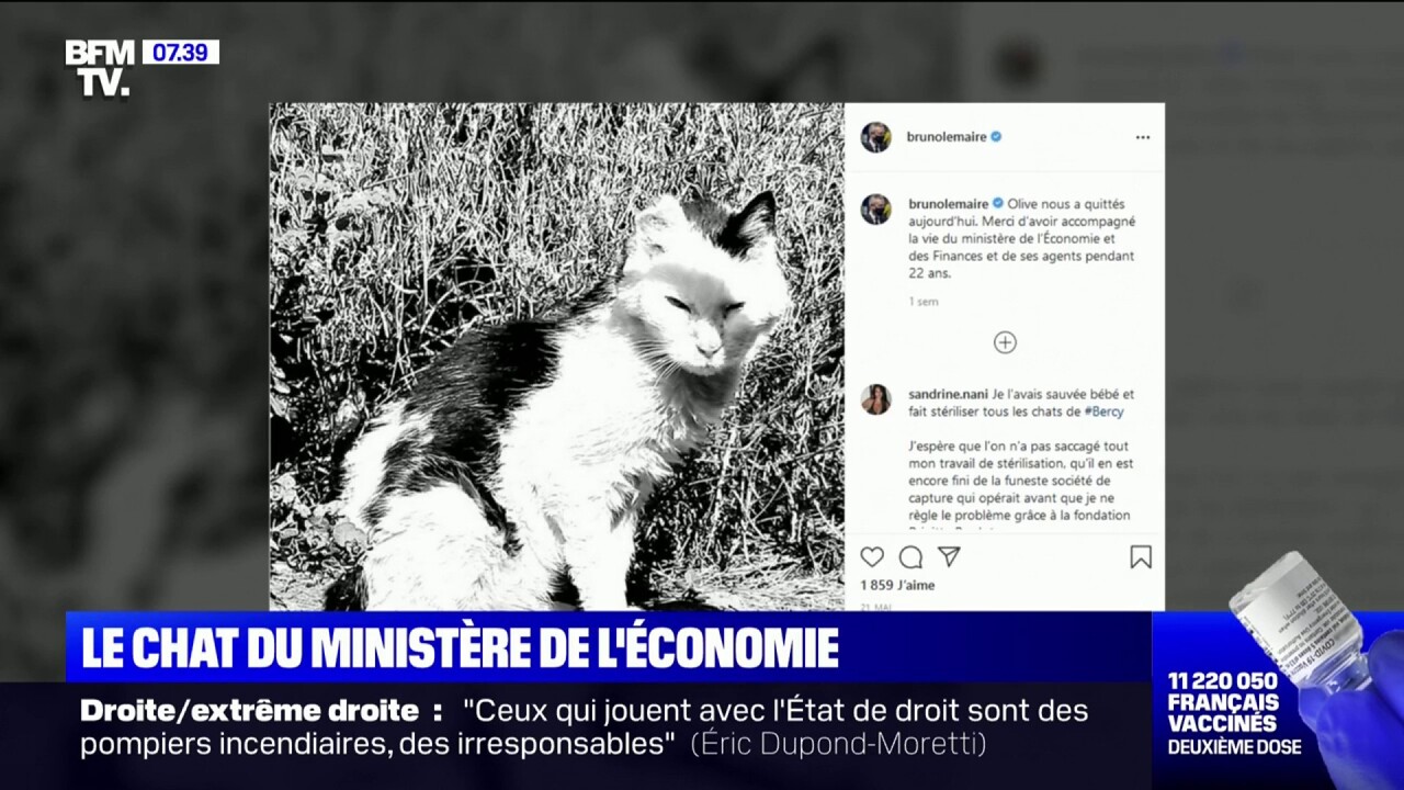 Bruno Le Maire Pret A Accueillir Un Nouveau Chat Comme Mascotte A Bercy