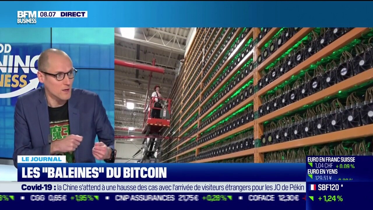 Bitcoin : Le bitcoin, une monnaie décentralisée... mais dont le stock est  extrêmement concentré - BFM Bourse